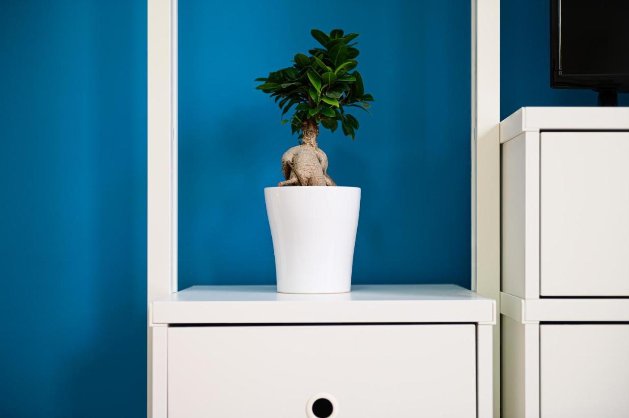 Apartamento L'aurora